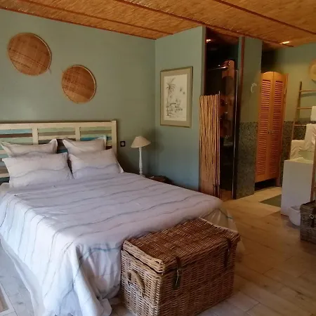 Via Bahia - 4* Biscarrosse