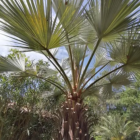 Via Bahia - Biscarrosse