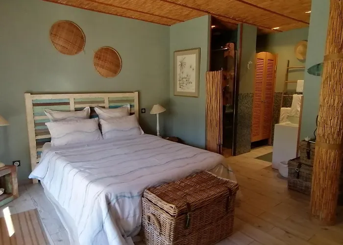 Via Bahia - 4* Biscarrosse