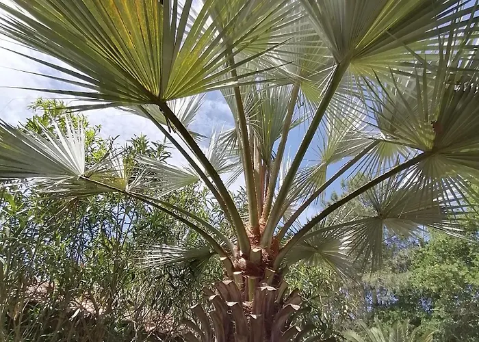 Via Bahia - Biscarrosse